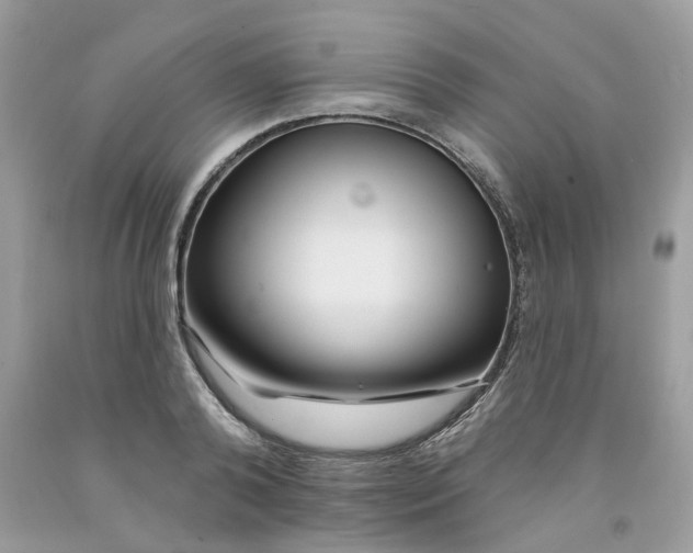 X0000091530792200709141434