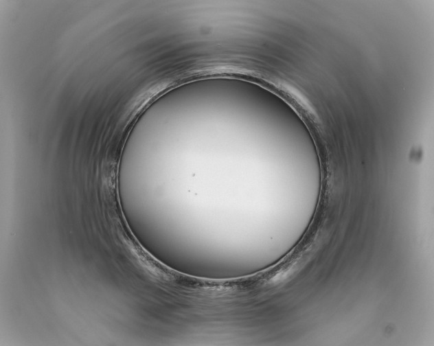 X0000091530793200709141434