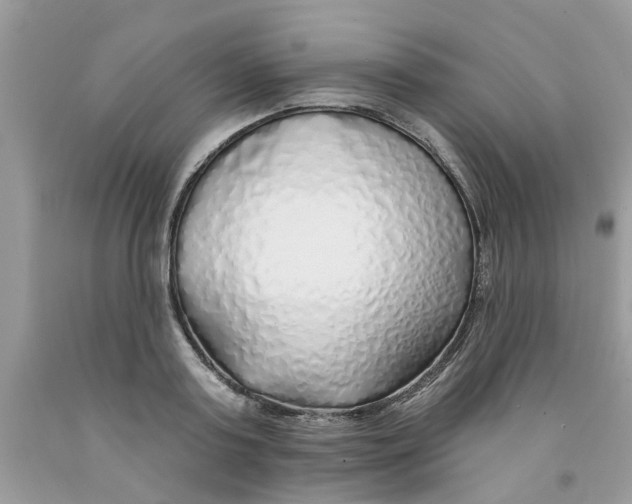 X0000091530795200709141434