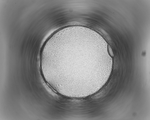 X0000091530796200709141434