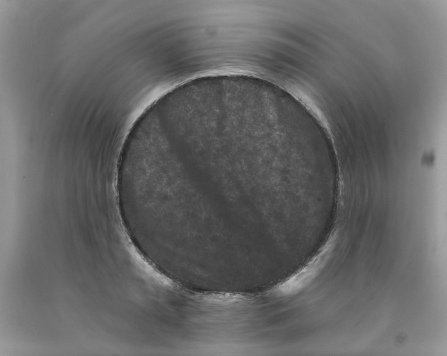 X0000091530797200709141434