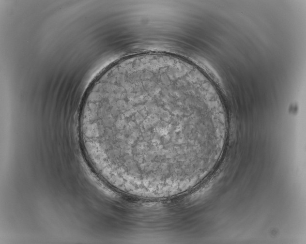 X0000091530798200709141434