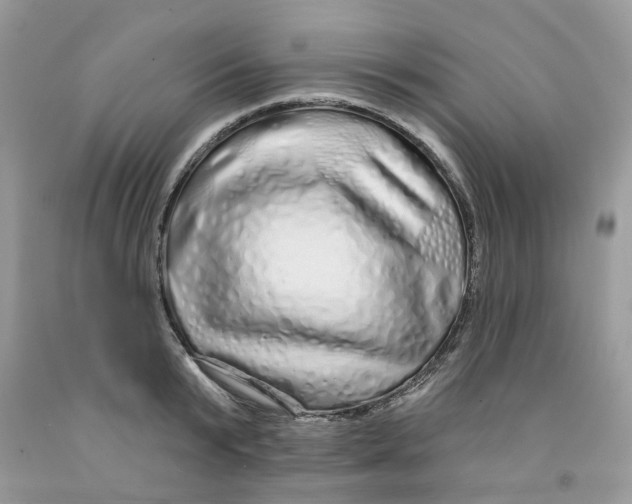 X0000091530799200709141434