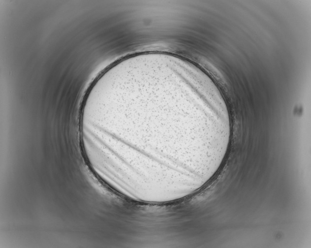 X0000091530800200709141434