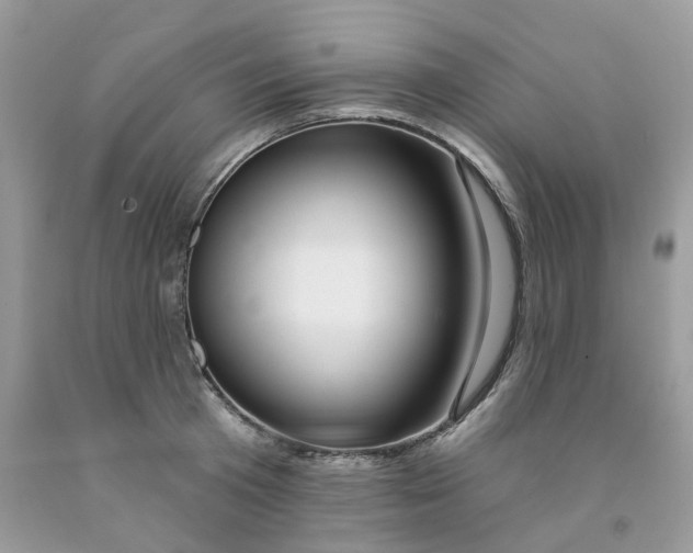 X0000091530801200709141434