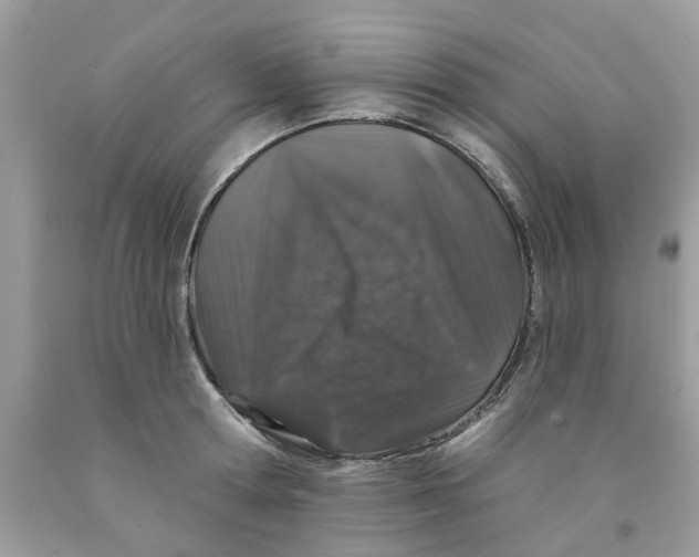 X0000091530802200709141434