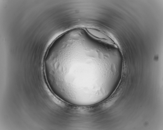 X0000091530803200709141434
