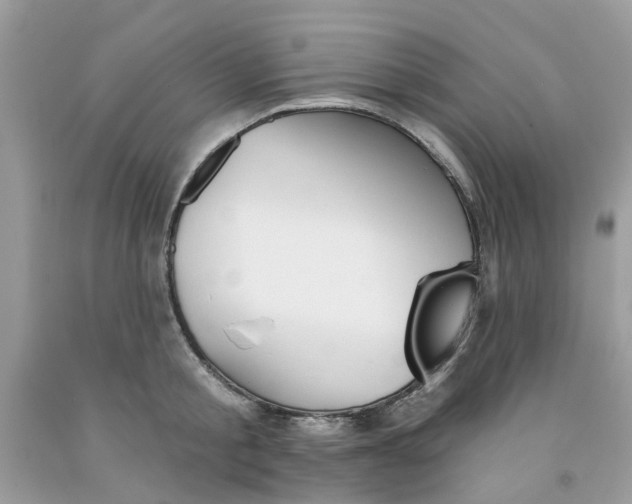 X0000091530805200709141434