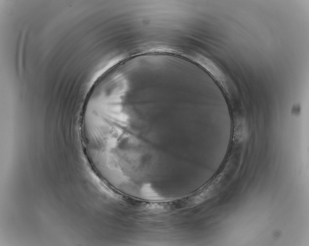 X0000091530806200709141434