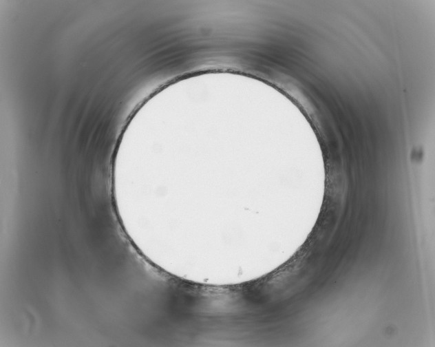 X0000091530807200709141434
