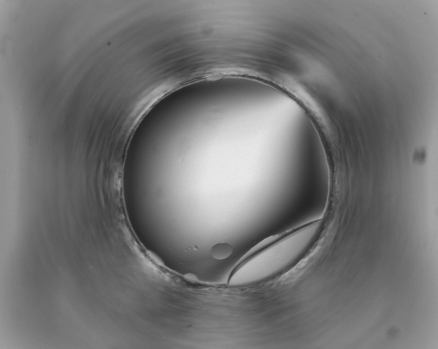 X0000091530809200709141434