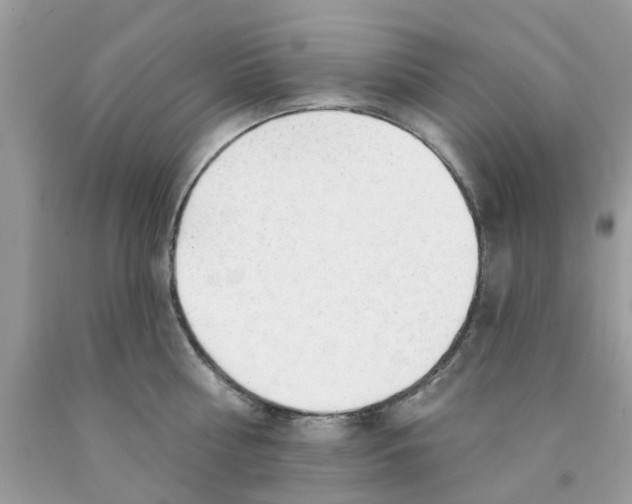 X0000091530810200709141434