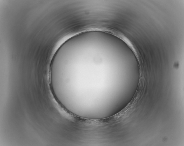 X0000091530811200709141434