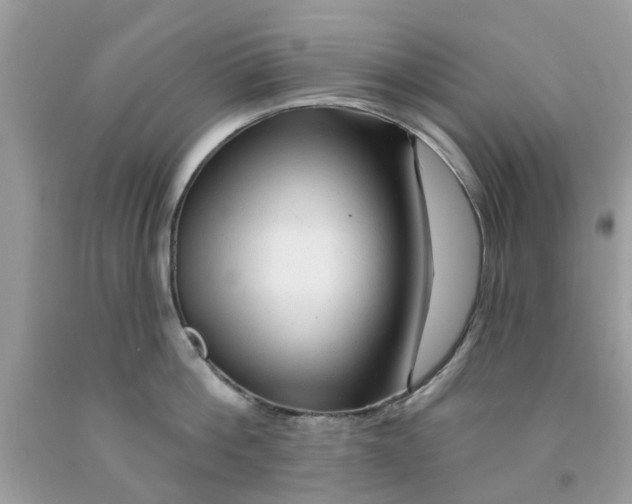 X0000091530812200709141434