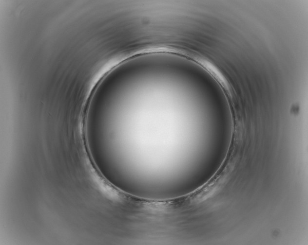 X0000091530813200709141434