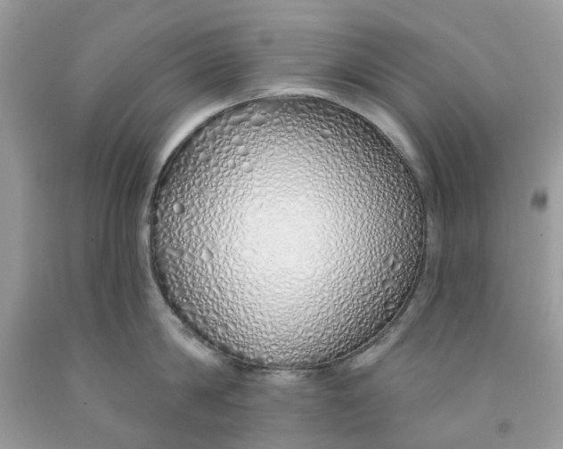 X0000091530814200709141434