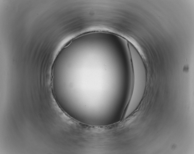 X0000091530815200709141434