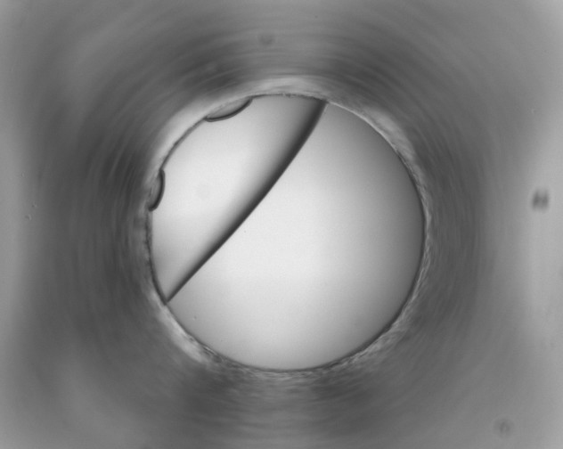X0000091530816200709141434