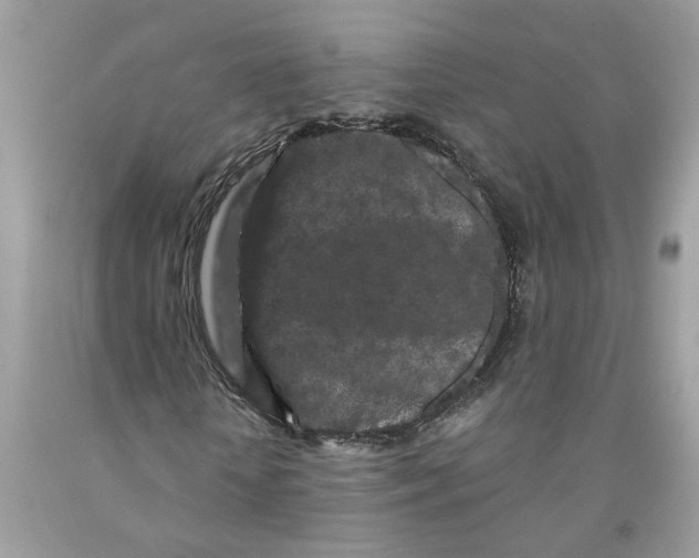 X0000091530818200709141433