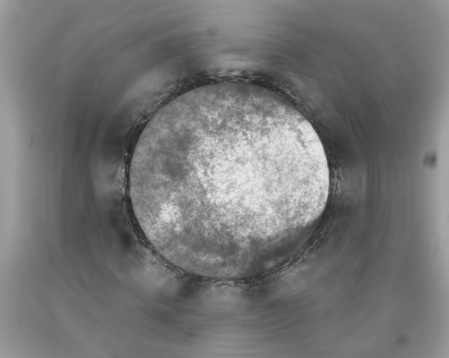 X0000091530820200709141433