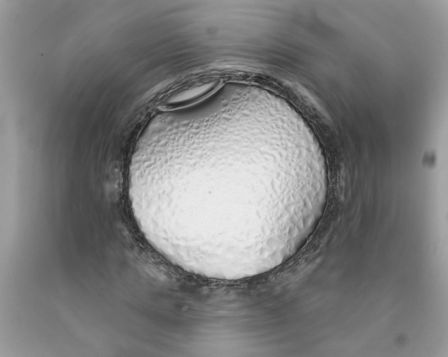 X0000091530821200709141433