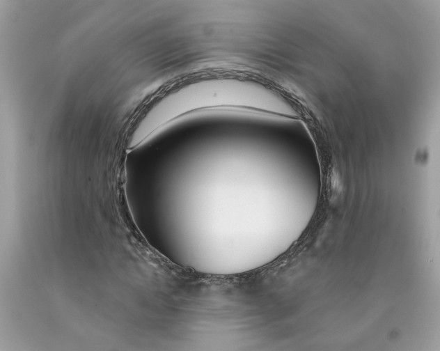 X0000091530822200709141433