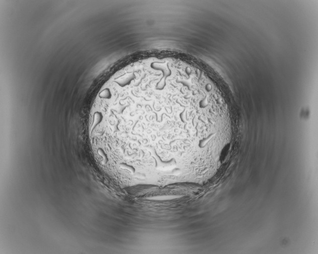 X0000091530823200709141433