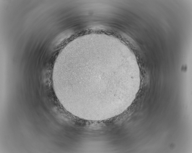 X0000091530824200709141433