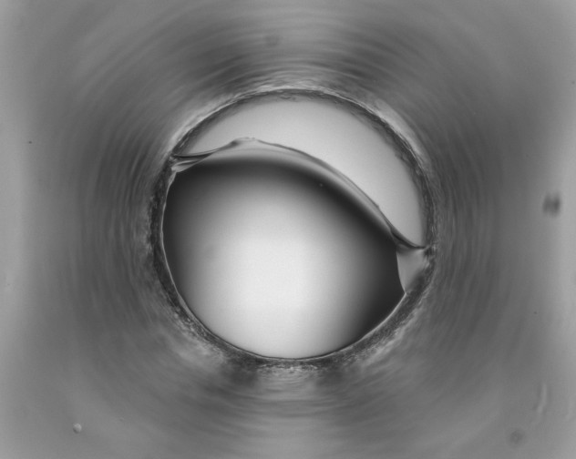 X0000091530826200709141433