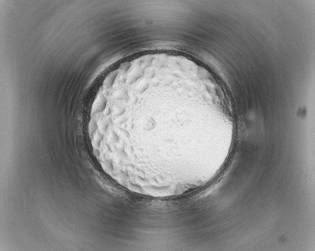 X0000091530827200709141433