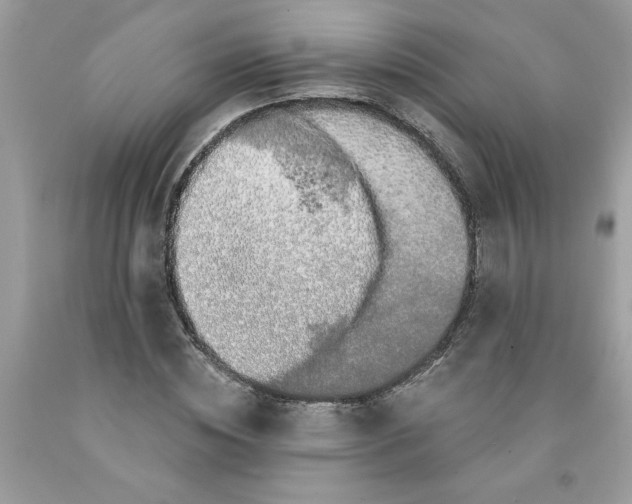 X0000091530828200709141433