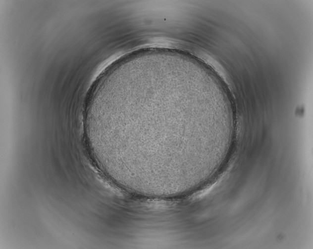 X0000091530829200709141433