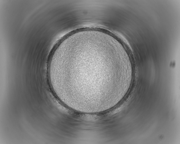 X0000091530831200709141433