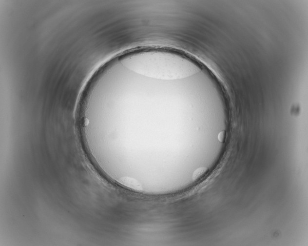 X0000091530832200709141433