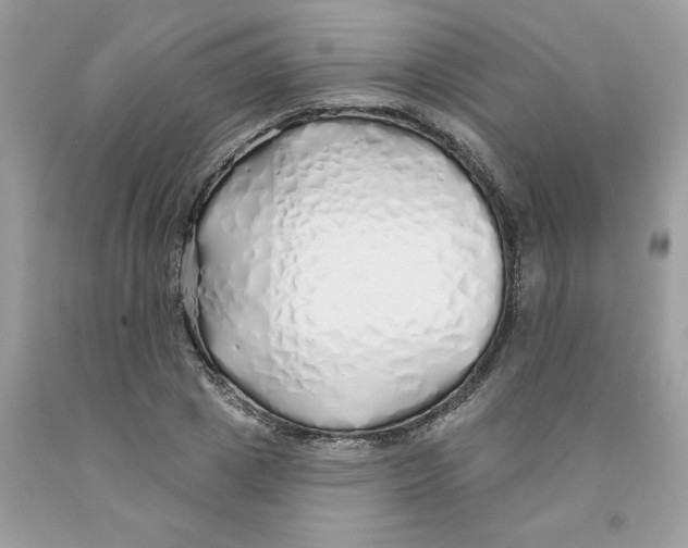 X0000091530833200709141433