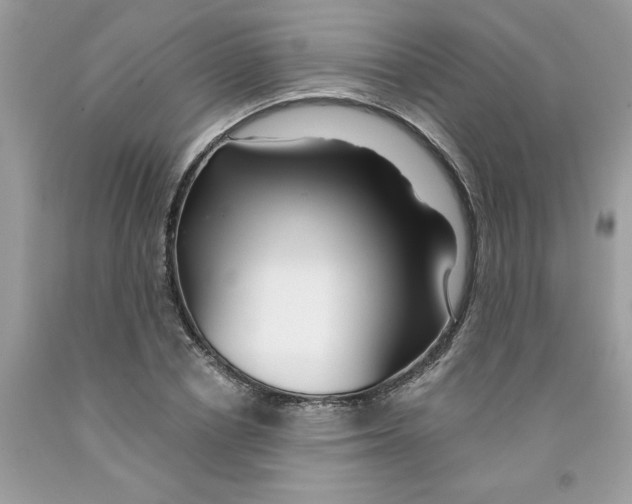 X0000091530834200709141433
