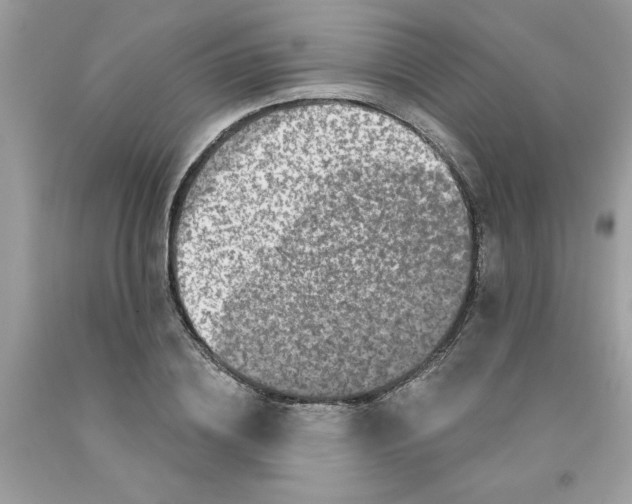 X0000091530836200709141433