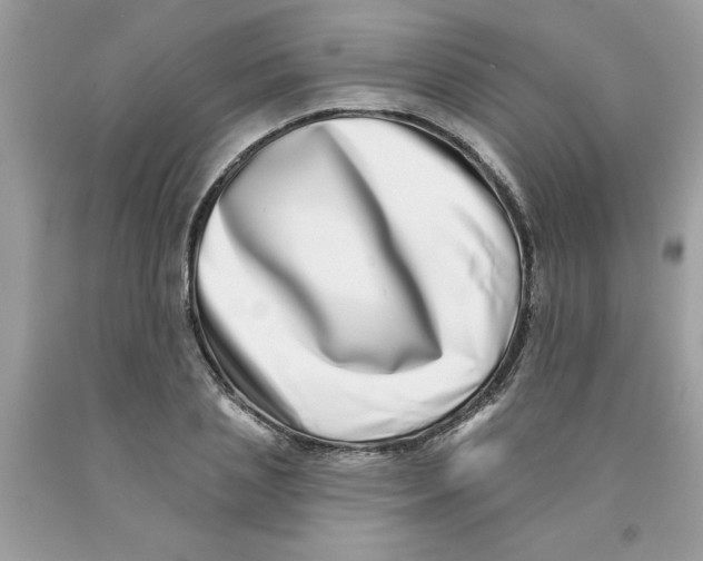 X0000091530837200709141433