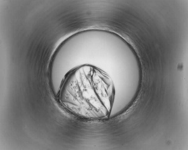 X0000091530838200709141433