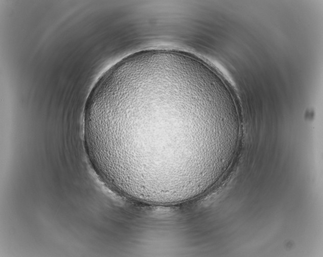 X0000091530839200709141433