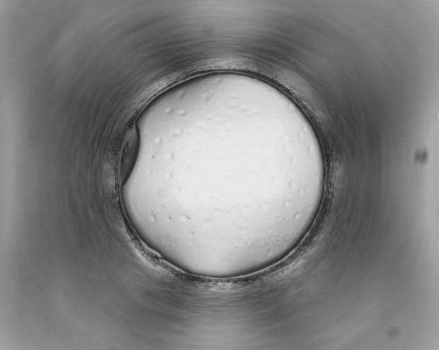 X0000091530841200709141433