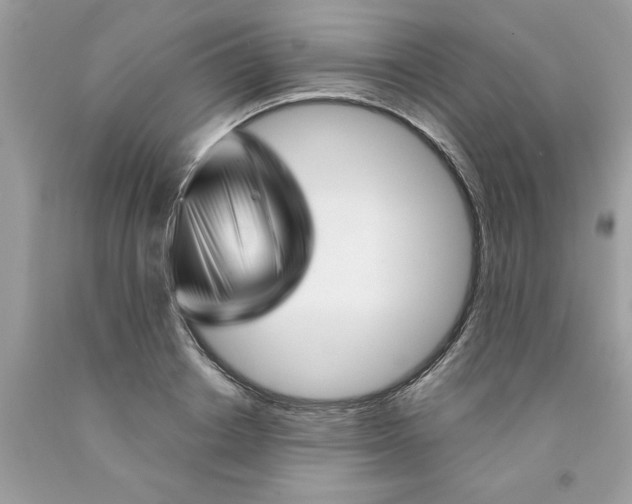 X0000091530842200709141433