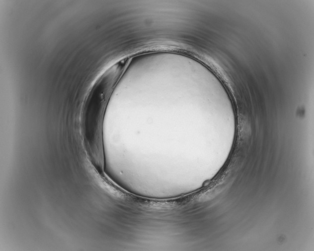 X0000091530843200709141433
