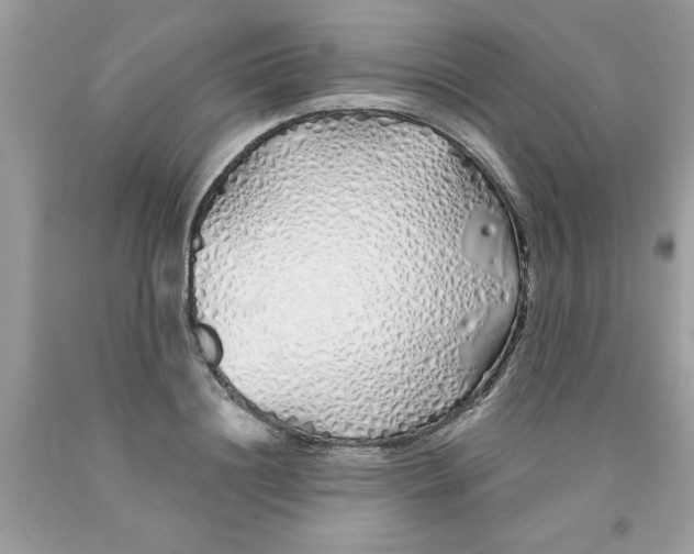 X0000091530844200709141433