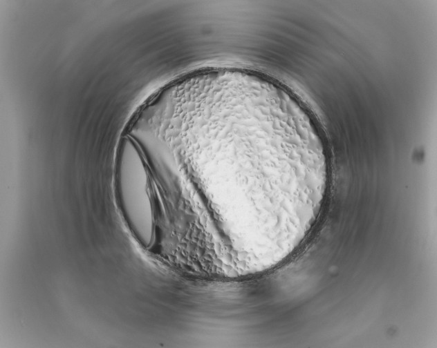 X0000091530845200709141433