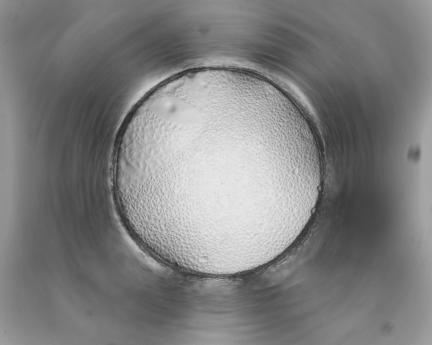 X0000091530847200709141433