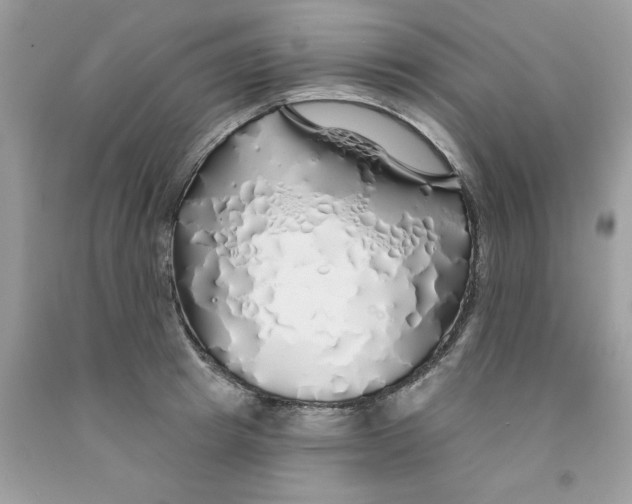 X0000091530849200709141433