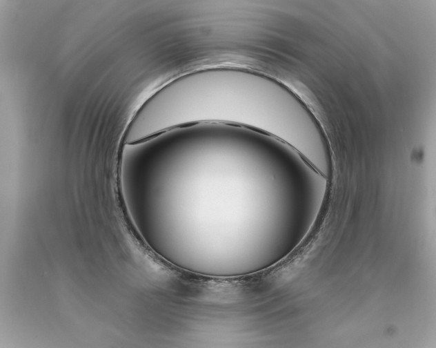 X0000091530850200709141433