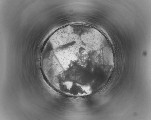 X0000091530851200709141433