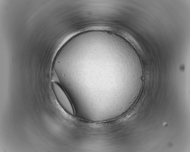 X0000091530852200709141434